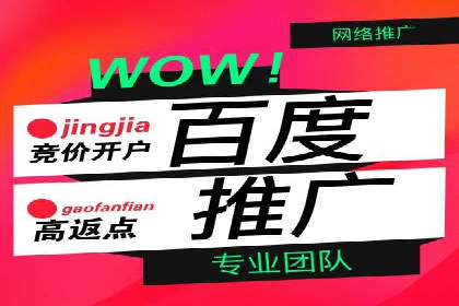 抖音信息流广告与代理服务的结合案例探讨